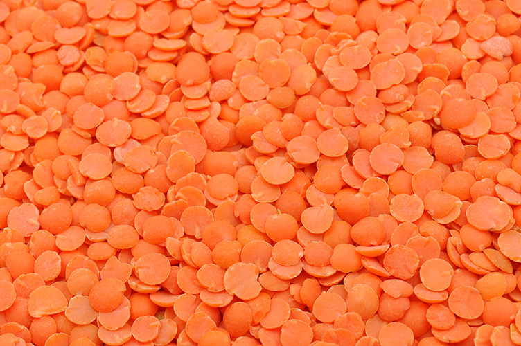 Lentils