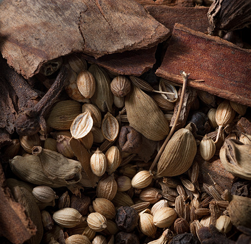 Oil Seeds and Specialty Products