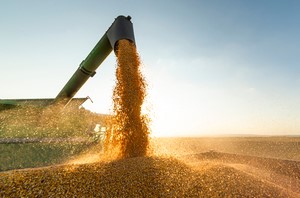 Agricultural Processing