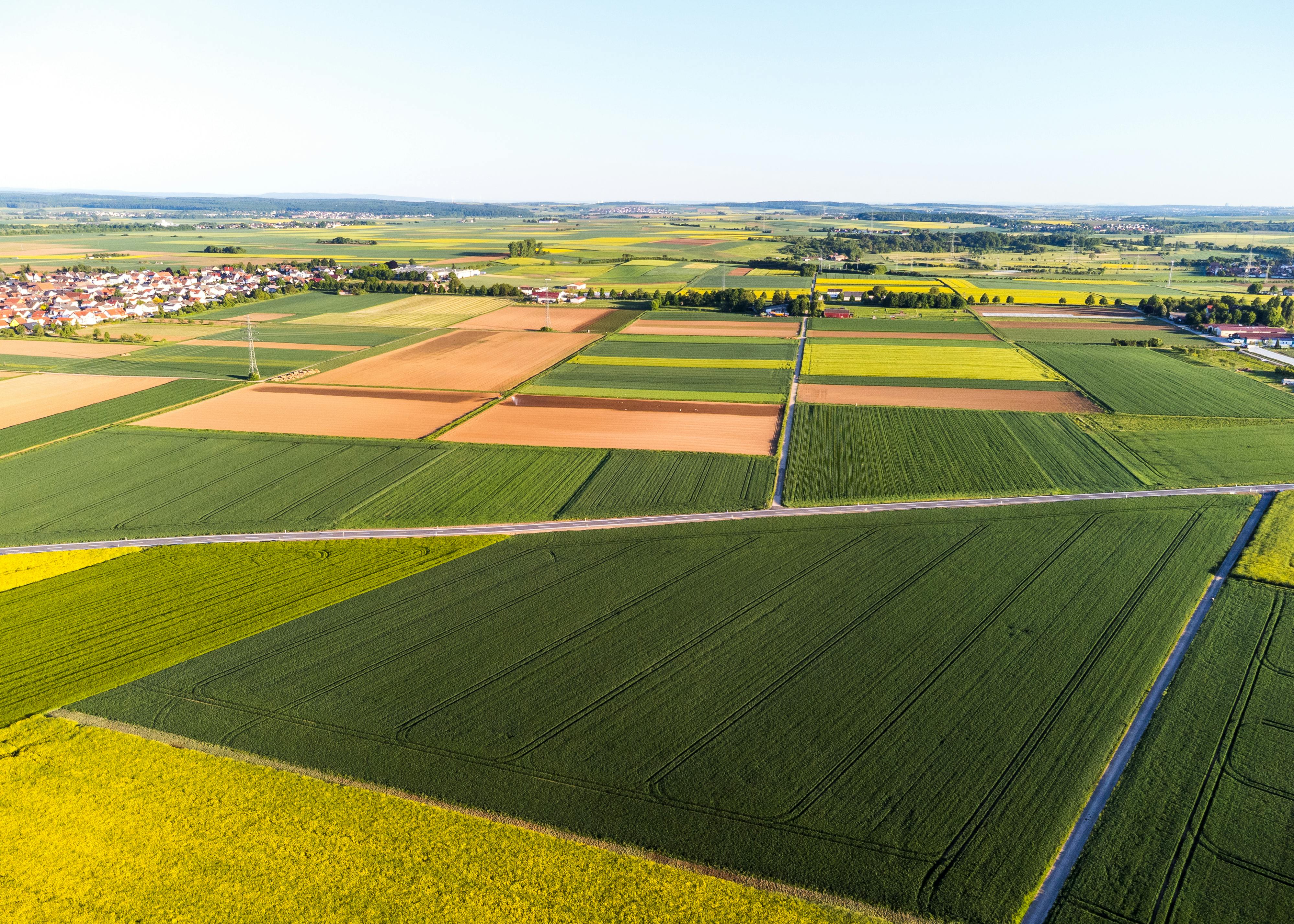 Dominion Agri Inc.