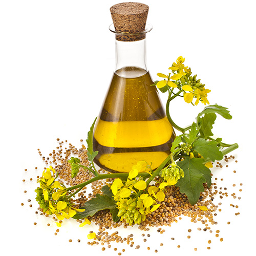 Oil Seed Complex